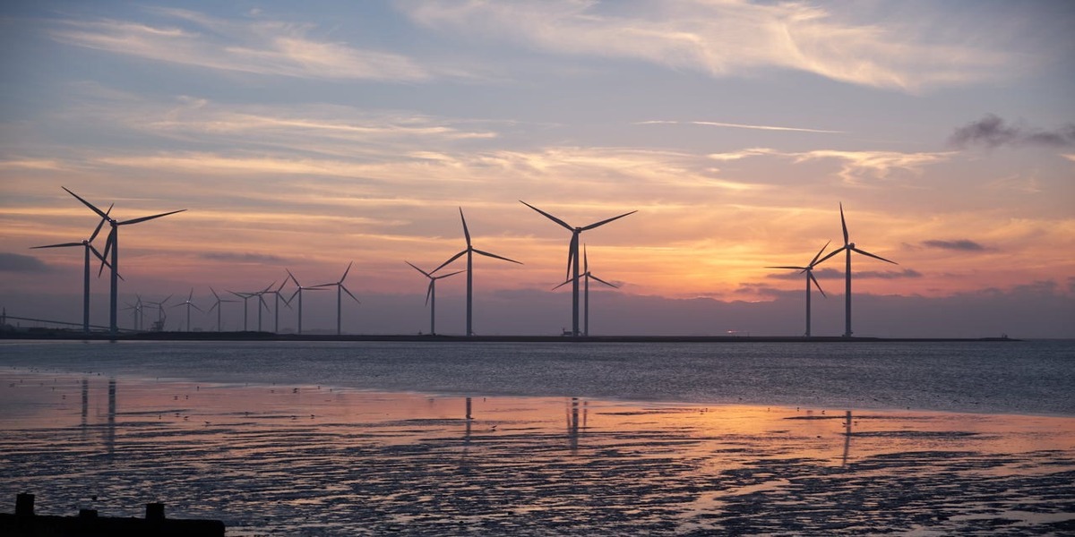 Decoding Renewable Energy Growth