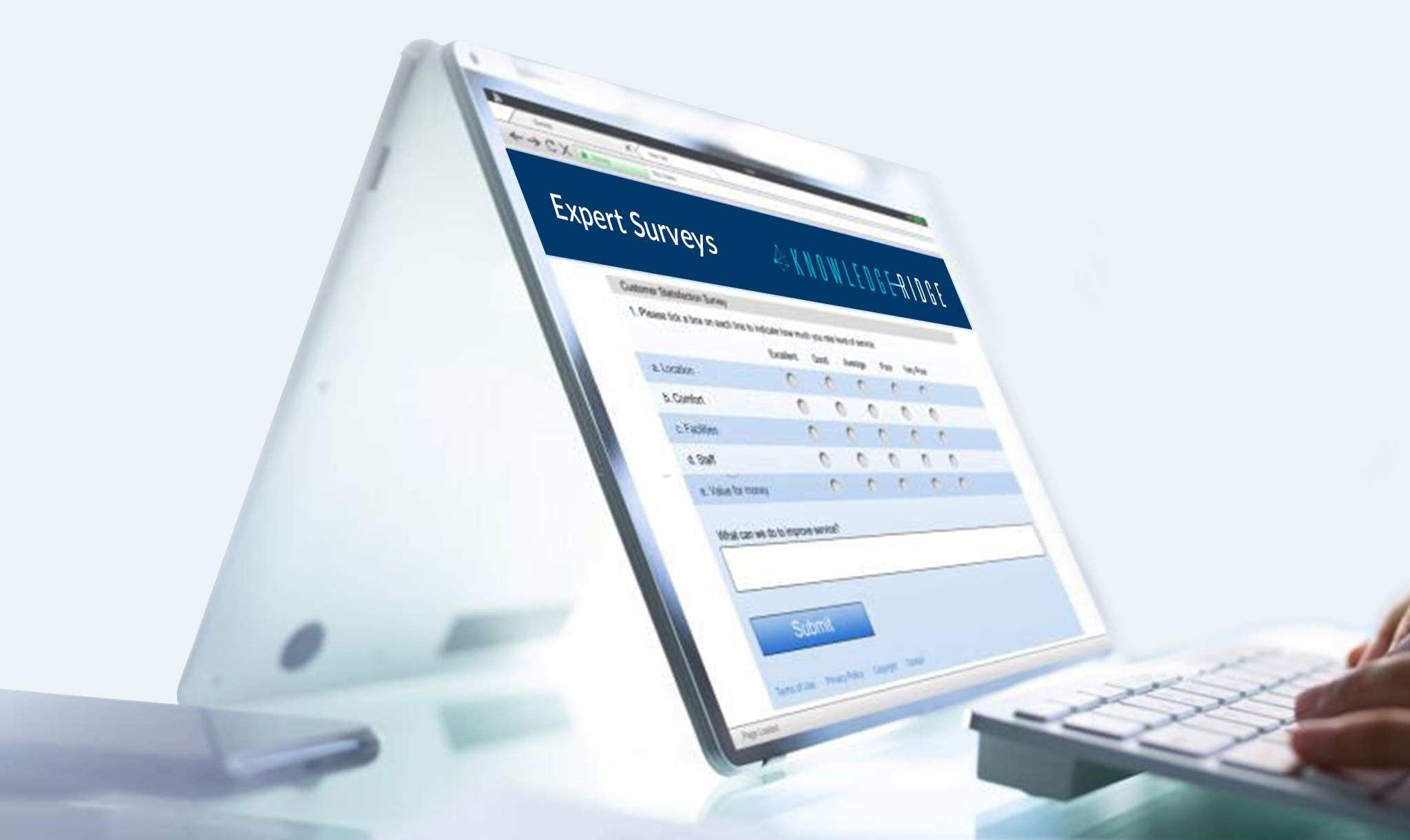 Boost up decision making by Expert Surveys